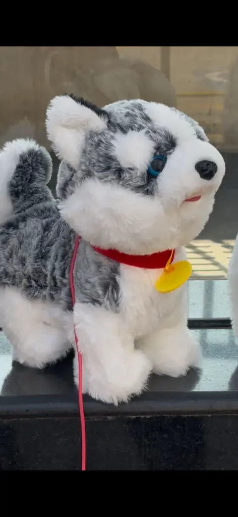 WhatsApp Image 2026-04-16 at 1.41.09 PM (1).webp