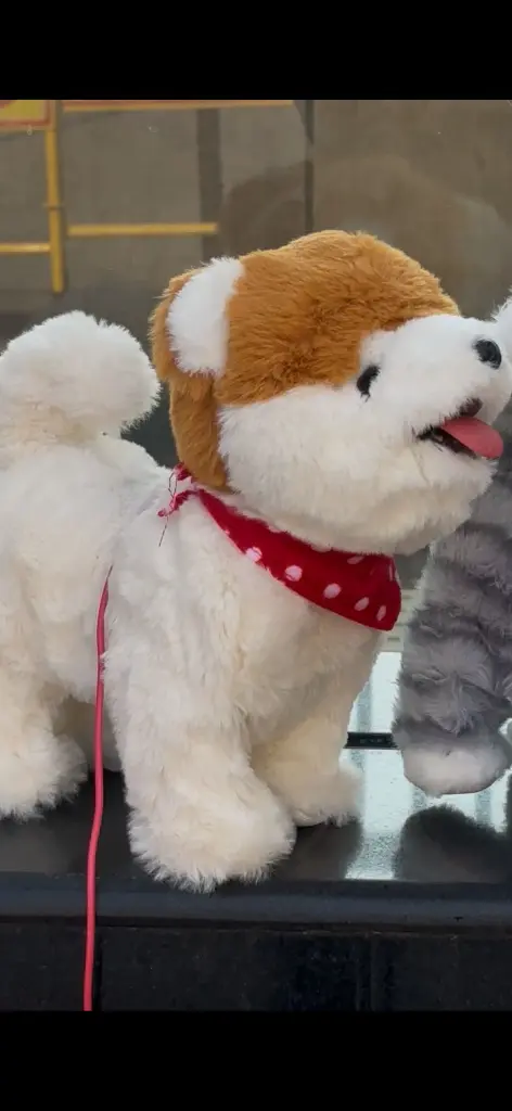 WhatsApp Image 2026-04-16 at 1.41.09 PM.webp