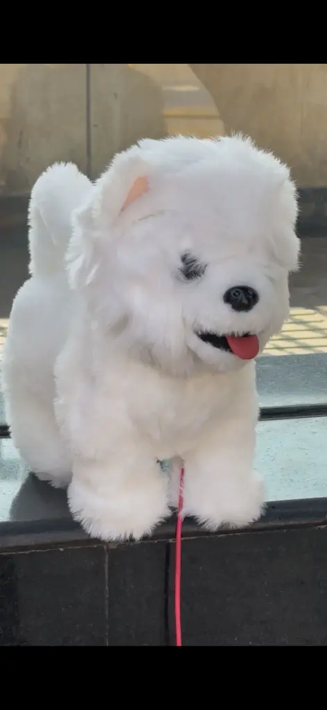 WhatsApp Image 2026-04-16 at 1.41.09 PM (2).webp