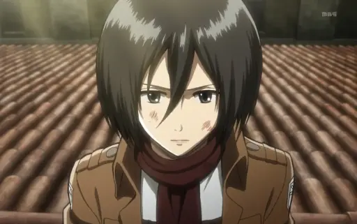 mikasa